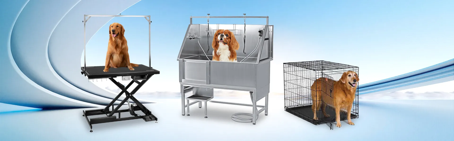 ດາວໂຫຼດ